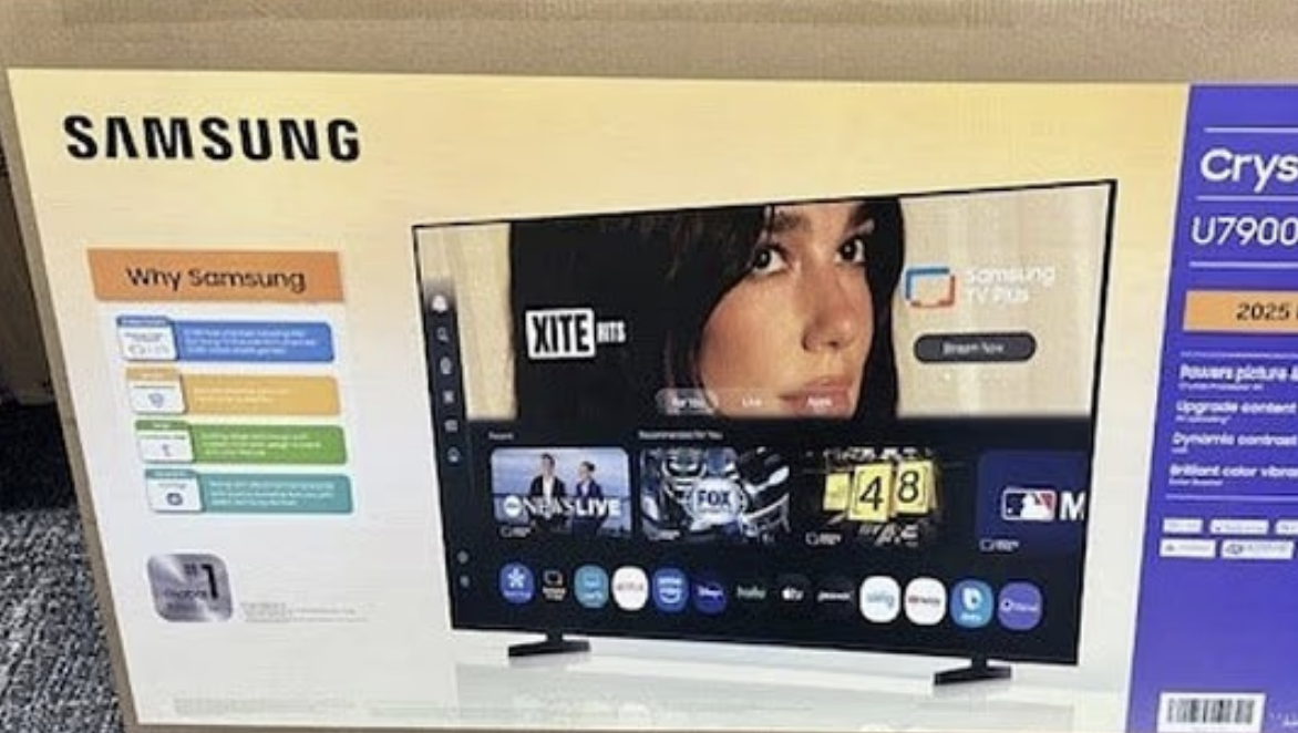 Dua Lipa Sues Samsung for £11m Over TV Packaging Image Use