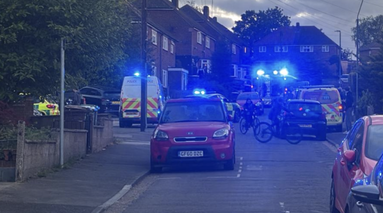 Woman Seriously Injured in Dog Attack at Slade Green Pennine Way