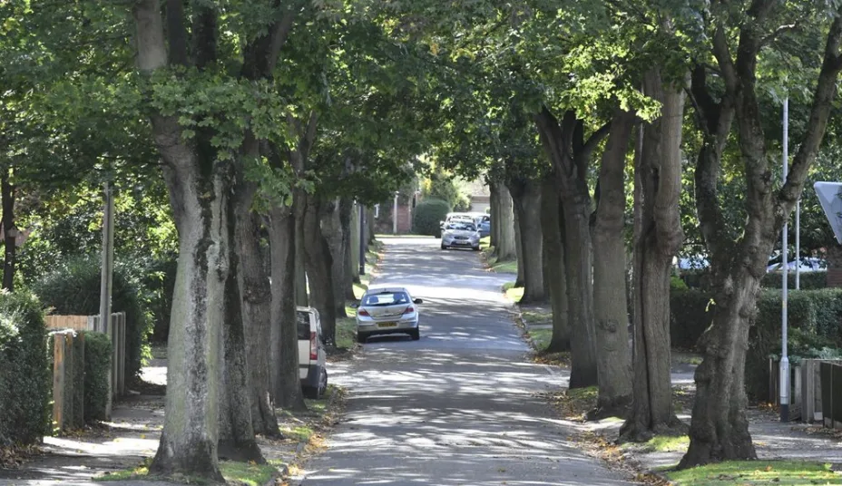 Police Appeal After Young Boy Sexually Assaulted In Lincoln