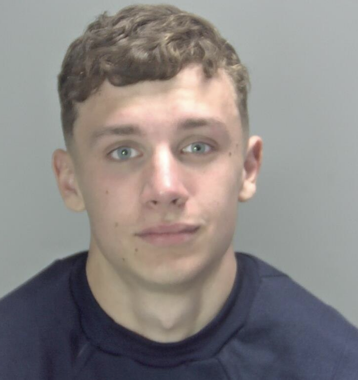 Teen Jailed Six Years for Machete Attack and Van Assault in Diss