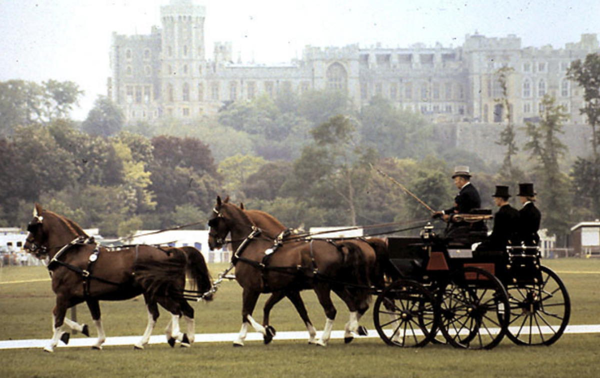 King Charles Saddened as Soldier Dies at Royal Windsor Horse Show
