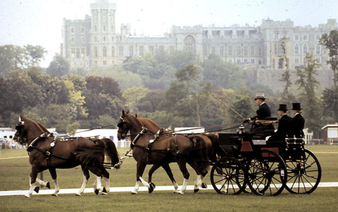 King Charles Saddened as Soldier Dies at Royal Windsor Horse Show