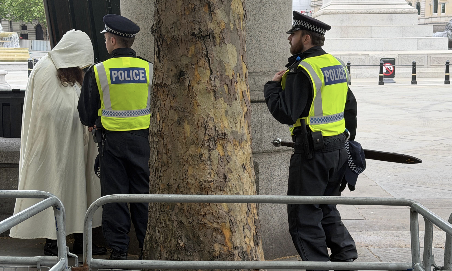 43 Arrested During Central London Protest Policing Operation, Met Police Confirm