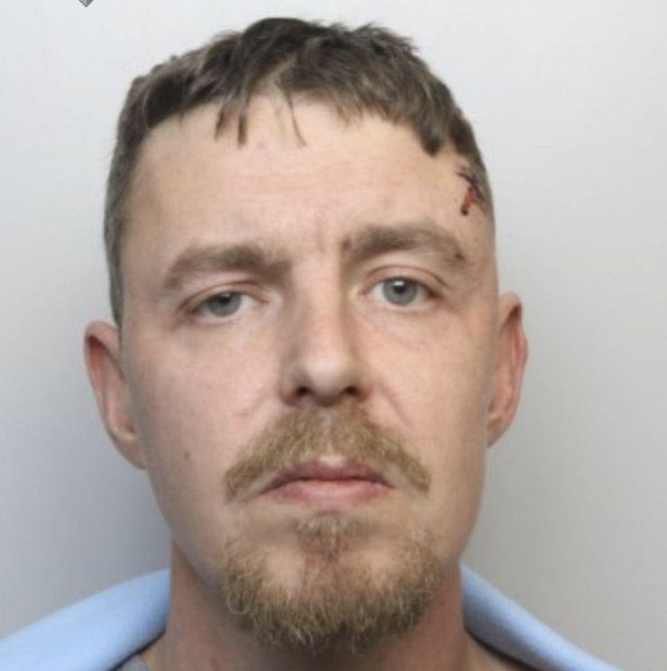 Bolton Man Jailed for Christmas Day Assault and Killing of Rescue Dog