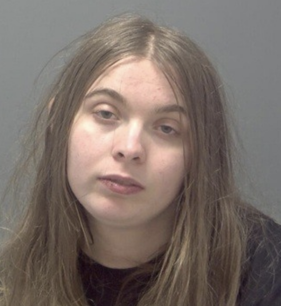 Ipswich Woman Jailed for Attempted Arson and Threats at Support Centre