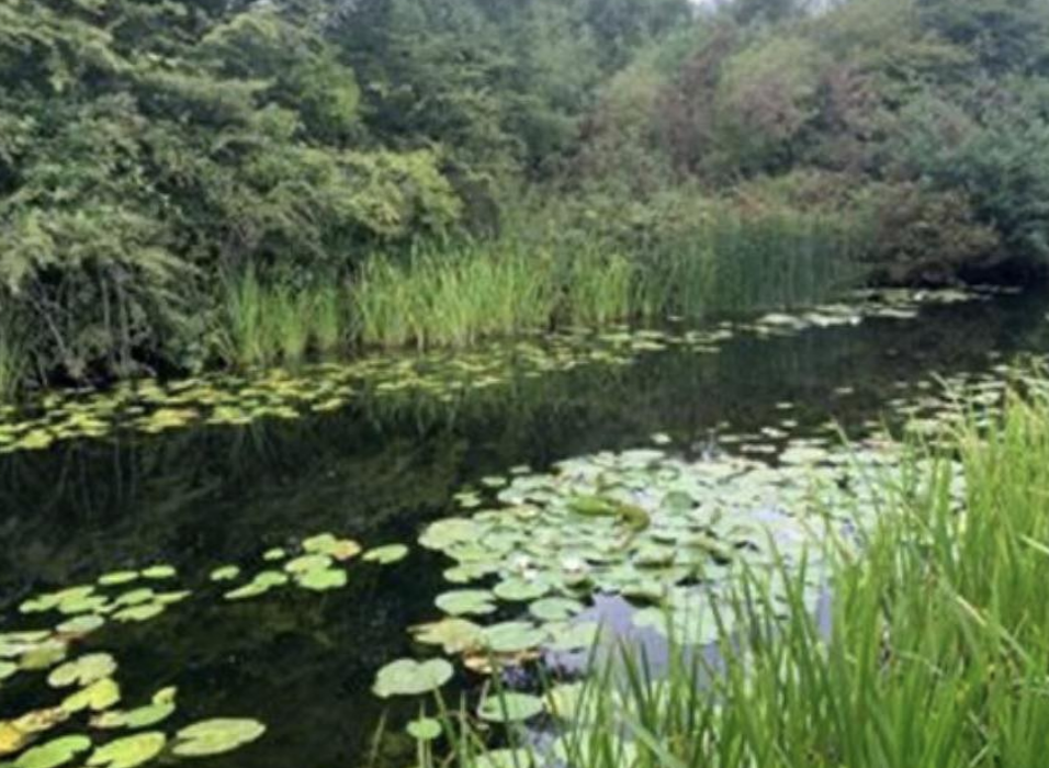 Walsall Police Renew Appeal Over Baby Found in Canal After 5 Years