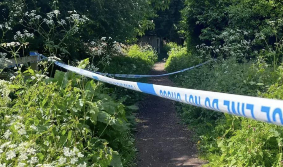 17-Year-Old Arrested in Stafford Attempted Murder Investigation