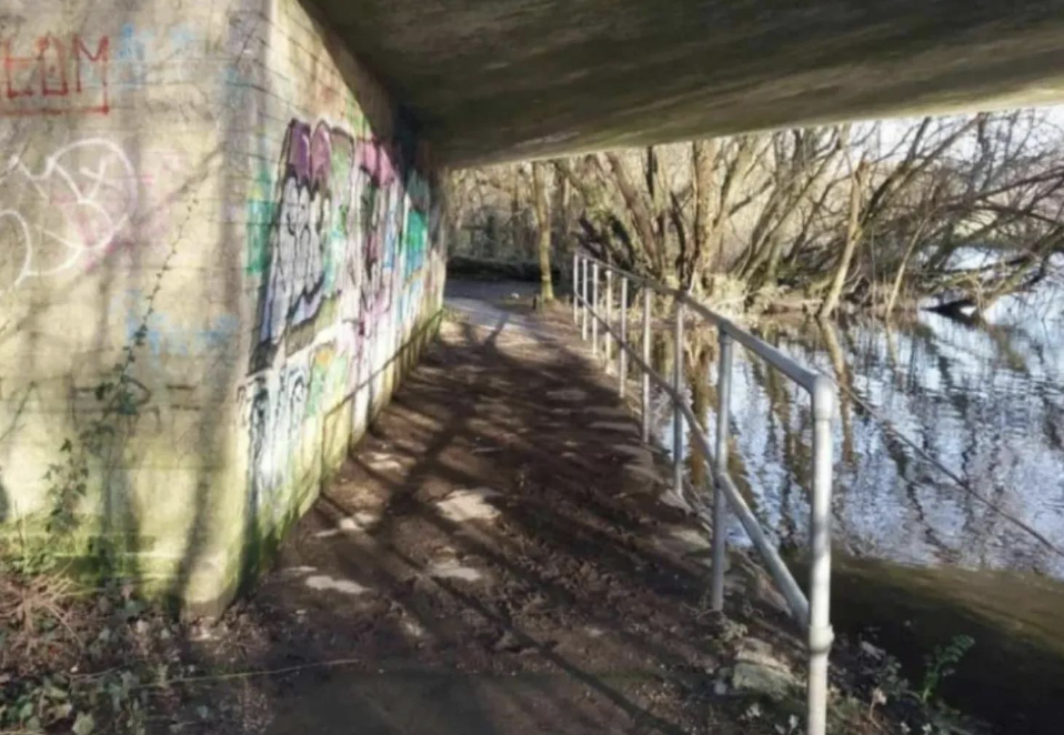 Three Teen Boys Avoid Jail After Rape Convictions in Fordingbridge
