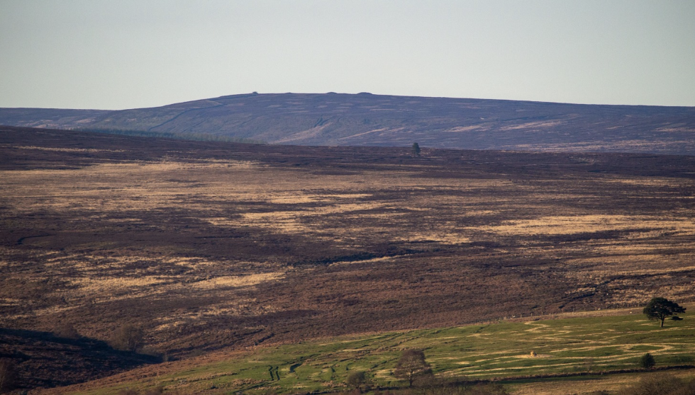 Police Warns of Wildfire Risks This Bank Holiday Weekend