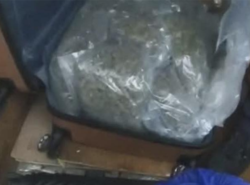 Birmingham Man Jailed After £140k Cannabis Seizure in Handsworth Raid