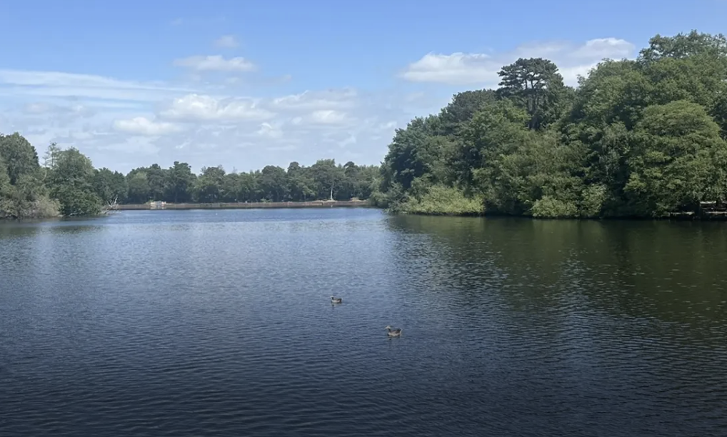 Search Continues for Missing 15-Year-Old Boy at Swanholme Lakes Lincolnshire
