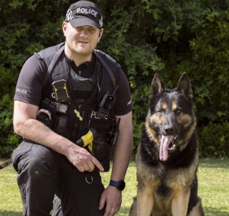 Essex Police Dog PD Kaiser Named Best in England and Wales