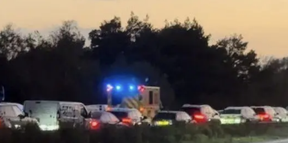 Serious Collision Closes A31 Near Froyle – Police Appeal for Witnesses