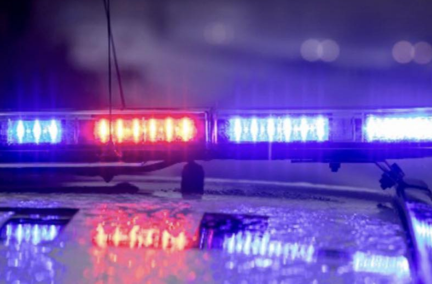 Two Arrested After Fatal A31 Collision Near Froyle in Hampshire