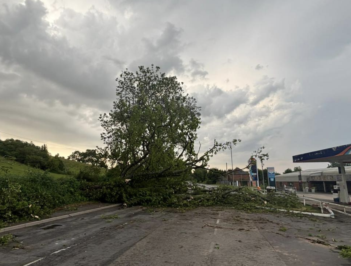 Nottinghamshire Drivers Warned Over Sudden Summer Limb Drop Hazard