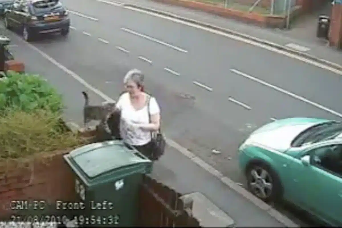Coventry Woman’s Life Upended After 2010 Cat Wheelie Bin Incident