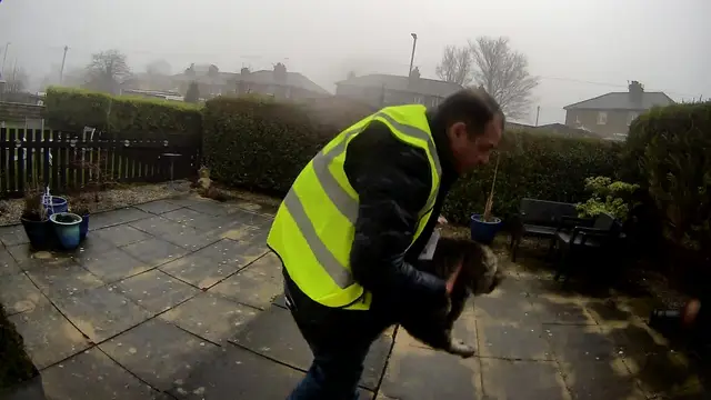 Amazon Driver Caught on CCTV Stealing Family Cat in West Yorkshire Avoids Jail