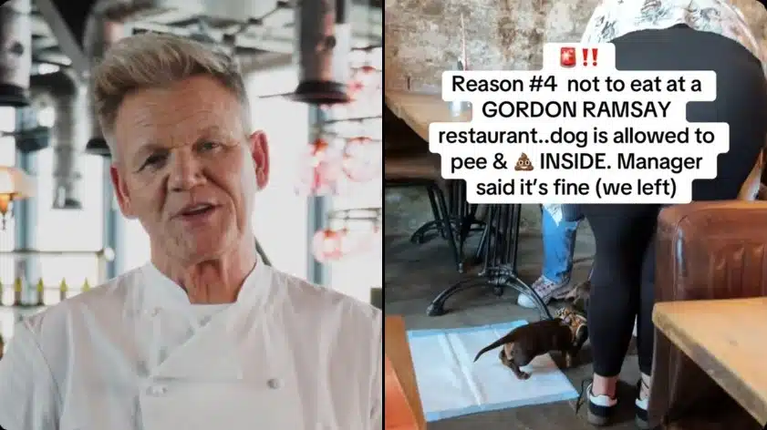 Gordon Ramsay Denies Dog Pooped in London Street Pizza Restaurant
