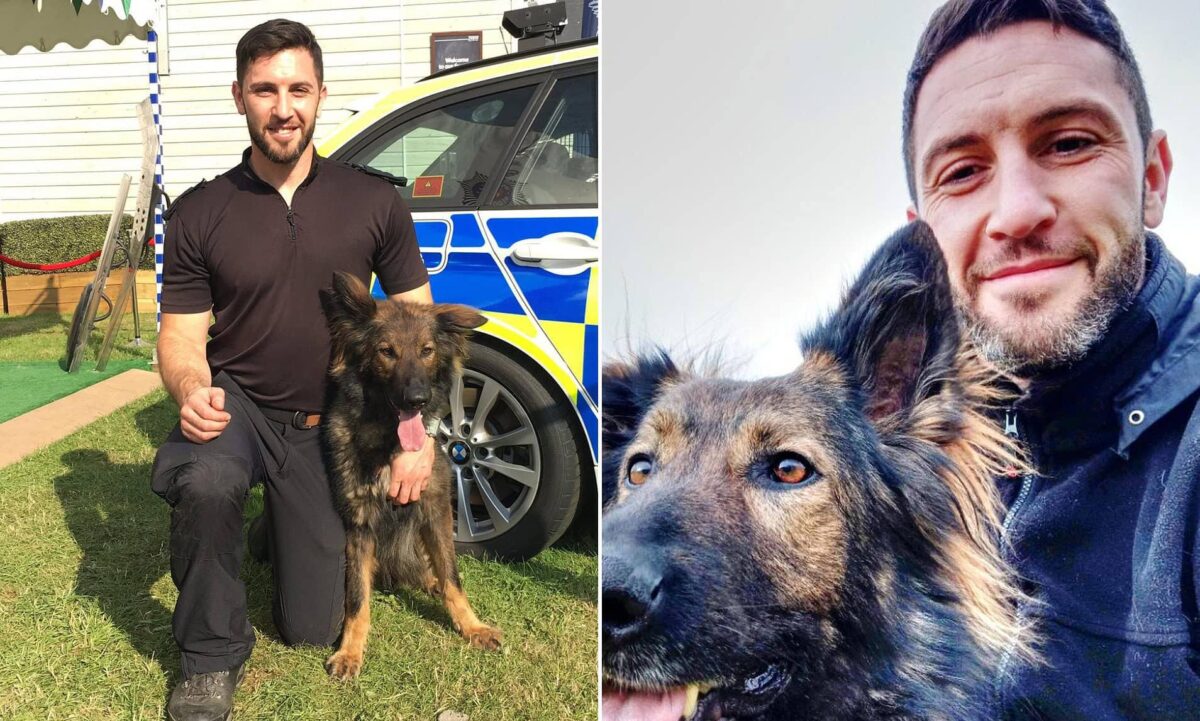 South Wales Police Dog Handler Banned For Life Over Magic Mushroom Import
