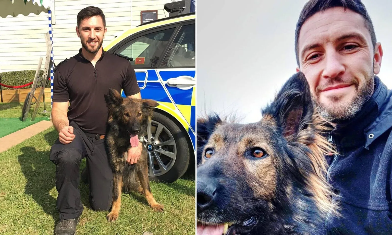 South Wales Police Dog Handler Banned For Life Over Magic Mushroom Import