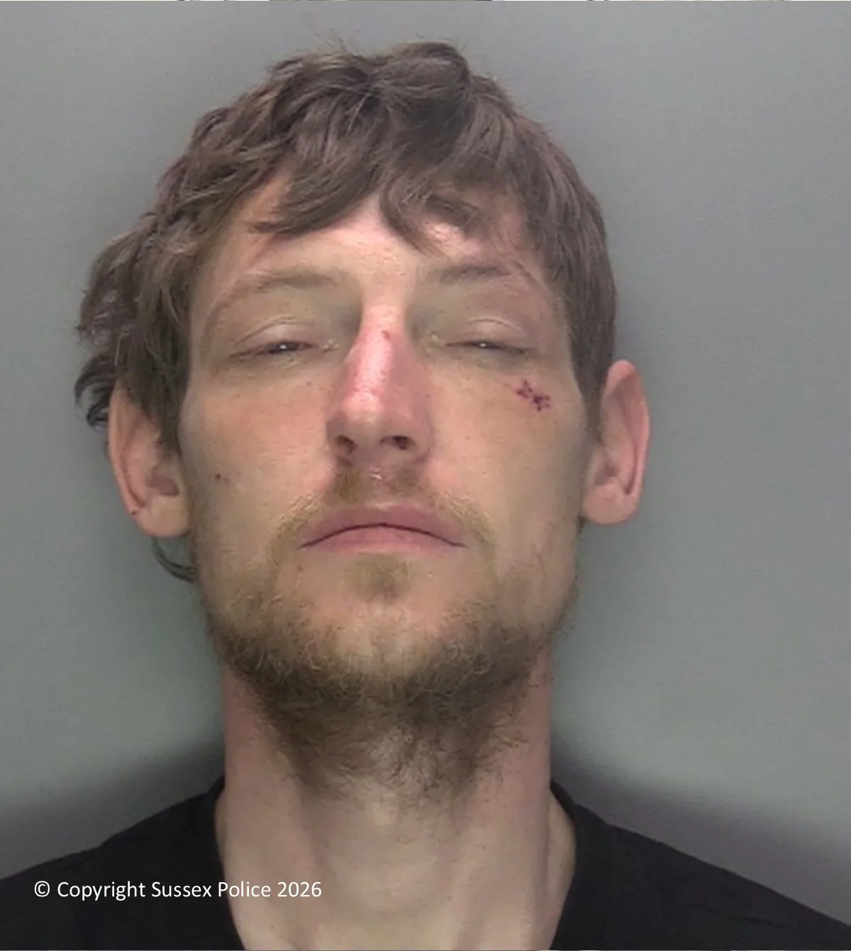 Prolific Crawley Shoplifter Jailed for Multiple Thefts and Court Breaches