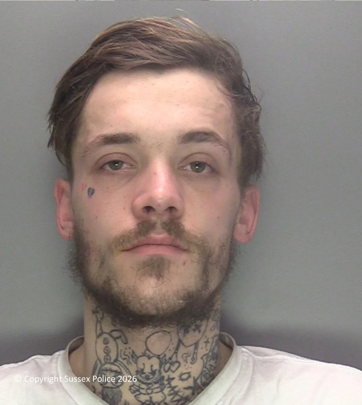 Man jailed for Crawley park robbery and attempted card fraud