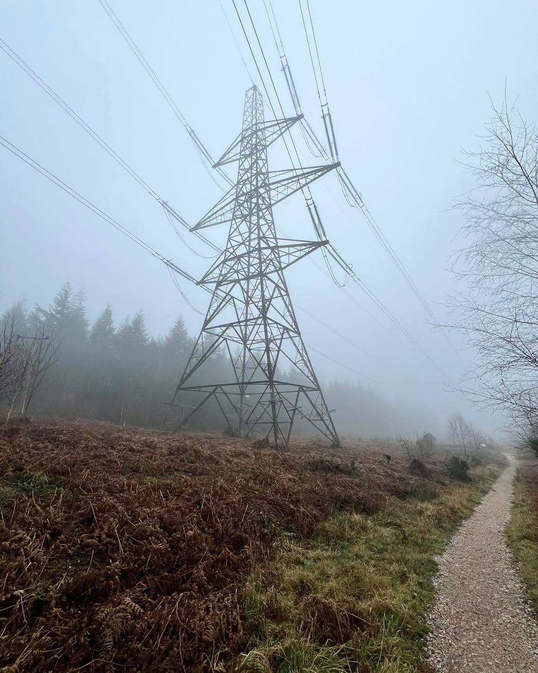 UK Electricity Supply Secured Despite Heatwave Alert by NESO