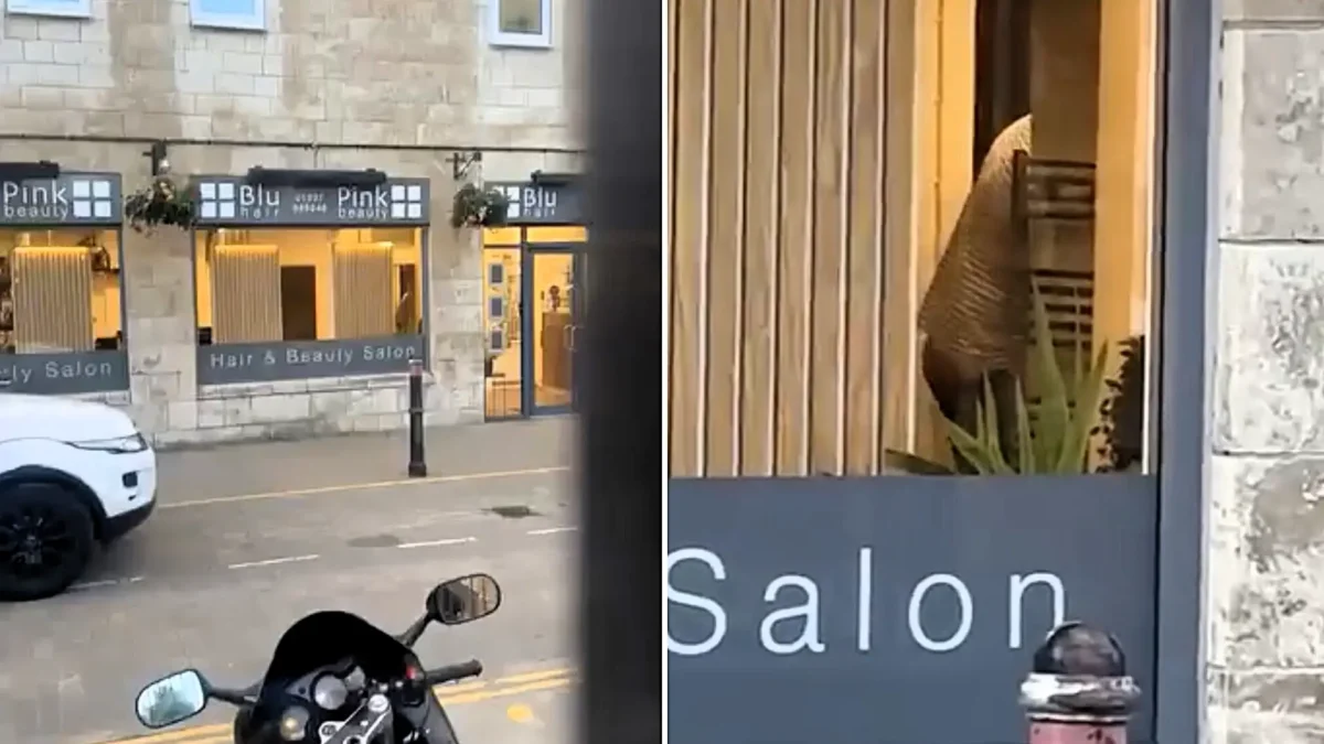 Couple Caught ‘Romping’ Inside Hair Salon Near Wetherspoons