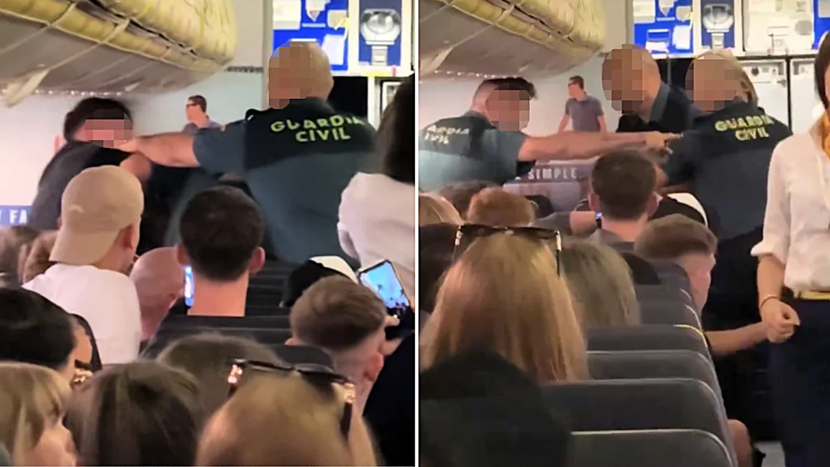 Drunk Passenger Punches Officer During Ryanair Flight Arrest