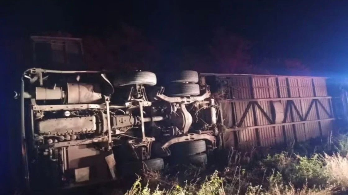 Seven Young Basketball Players Killed in Brazil Bus Accident After Tournament Win