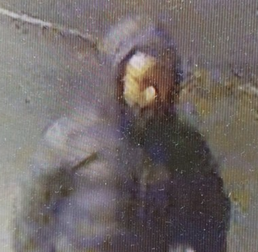 West Midlands Police Seek Man After Birmingham Sexual Assault