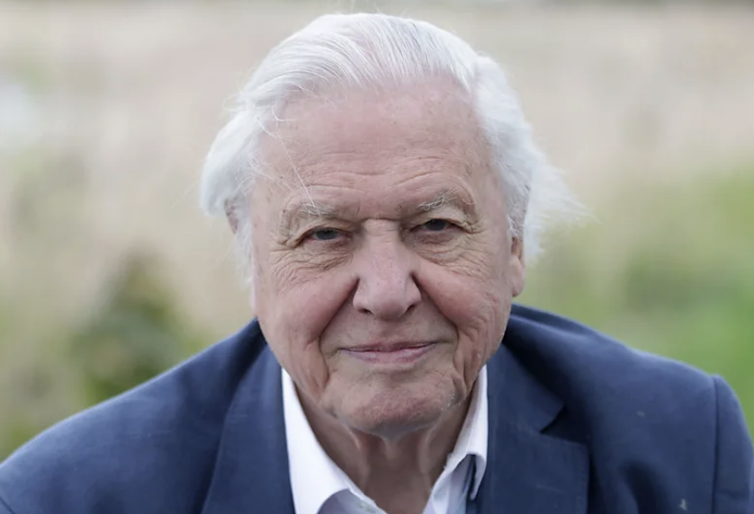 Sir David Attenborough’s Energy Remains Strong at 100, Inspiring Global Audiences