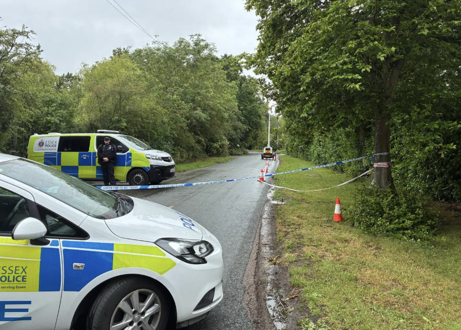 12-Year-Old Boy Dies After Car Collision in Brentwood Murder Probe
