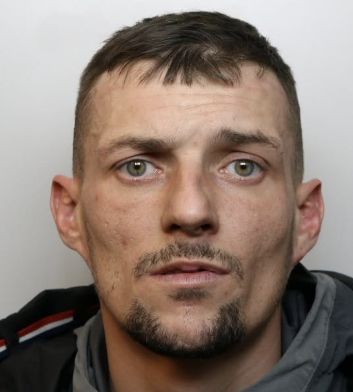 Derbyshire Man Jailed for Dog Neglect and Dangerous Driving Chase