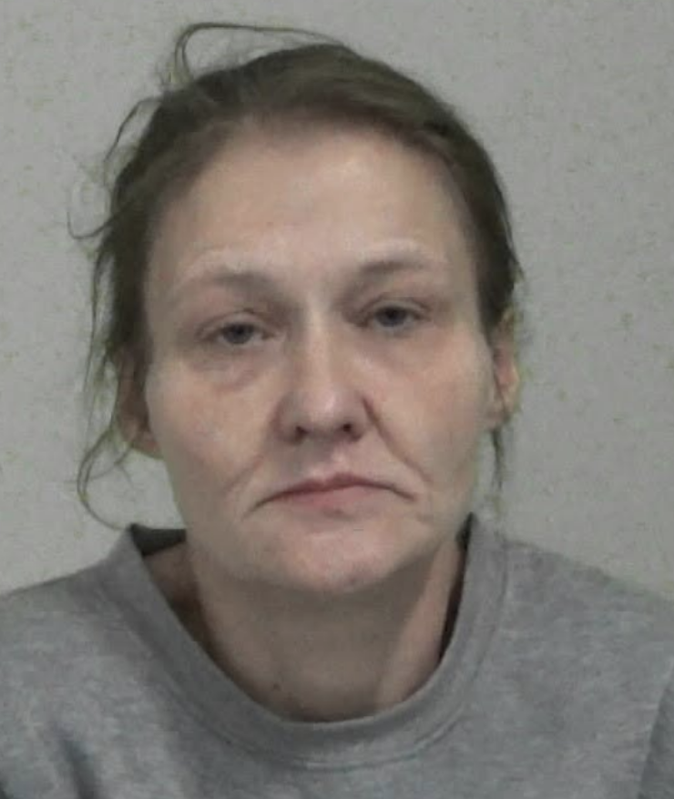 Woman Blinded in Sunderland Ammonia Acid Attack Sentenced to 13 Years