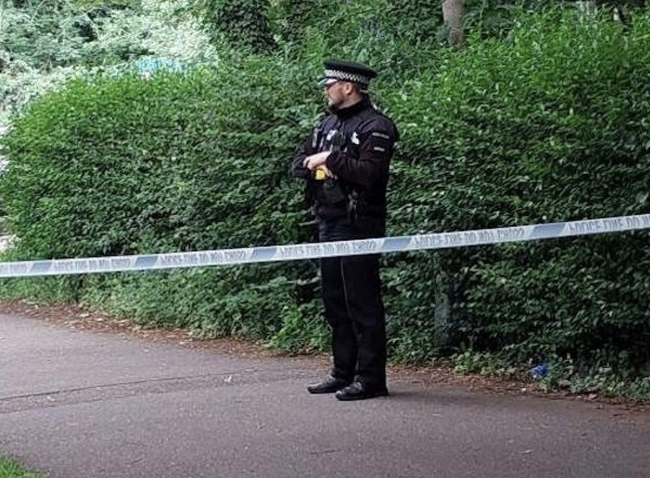 Three Teens Arrested for Murder After Fatal Assault in Chelmsford Park
