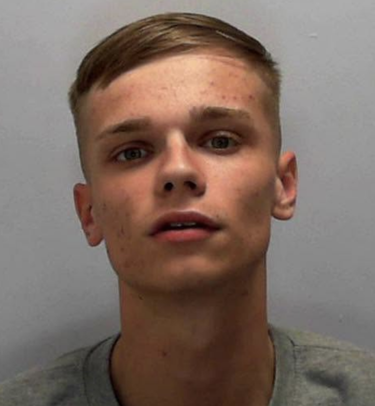 Joshua Donnelly Jailed for Flamingo Land Stabbing of Bystander