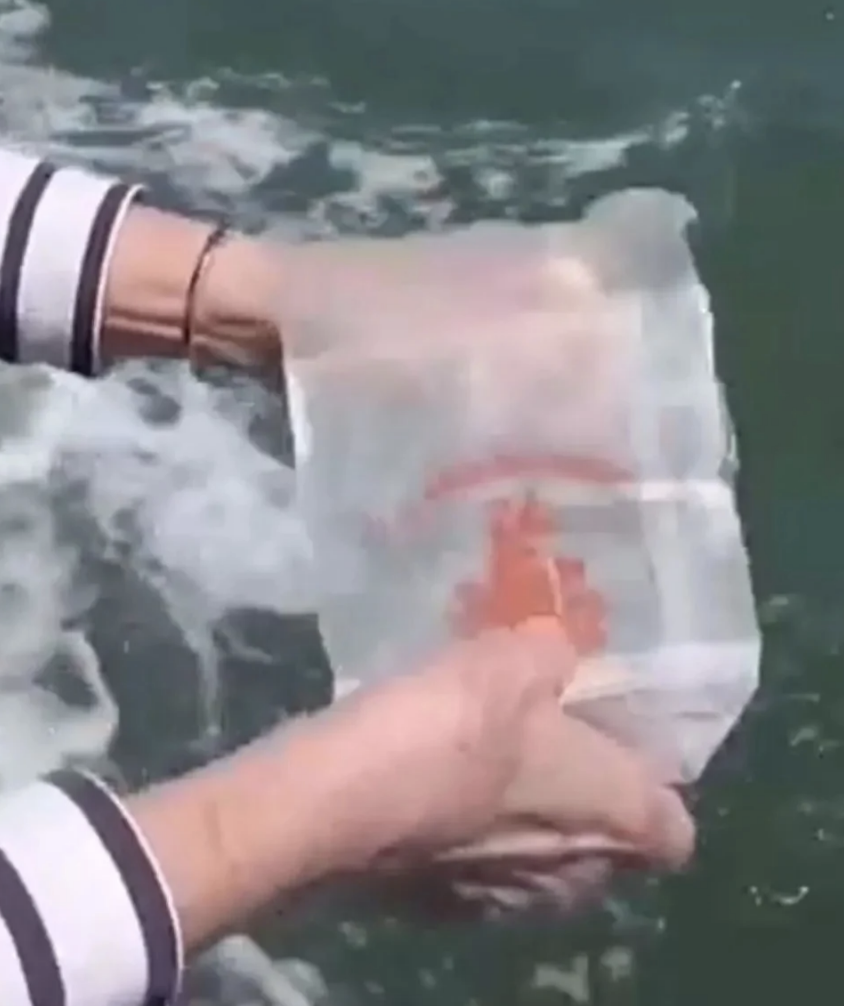 French Tourist Fined Over Ashes Scattered in Venice’s St Mark’s Basin