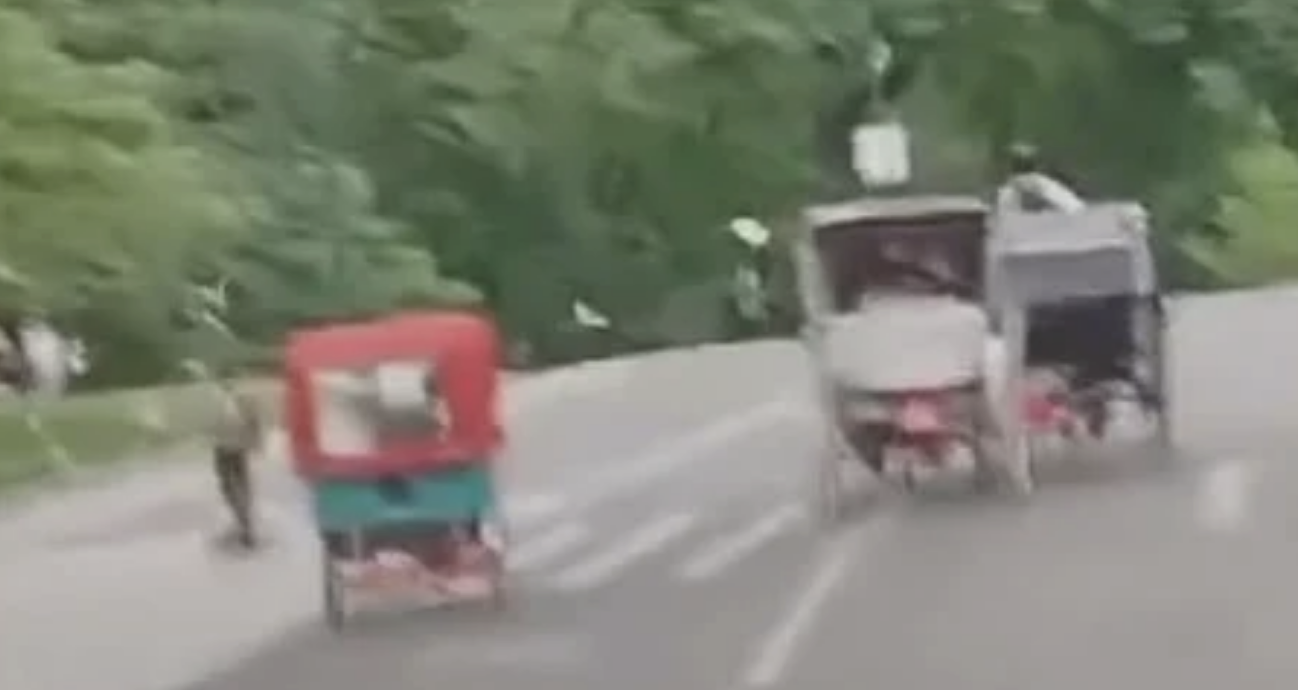 Indian Tourist Dies After Central Park Horse-Drawn Carriage Bolts