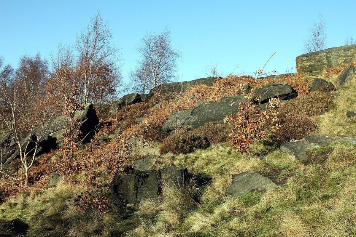 Man 20s dies after car with four plunges 100ft down Bradford hill