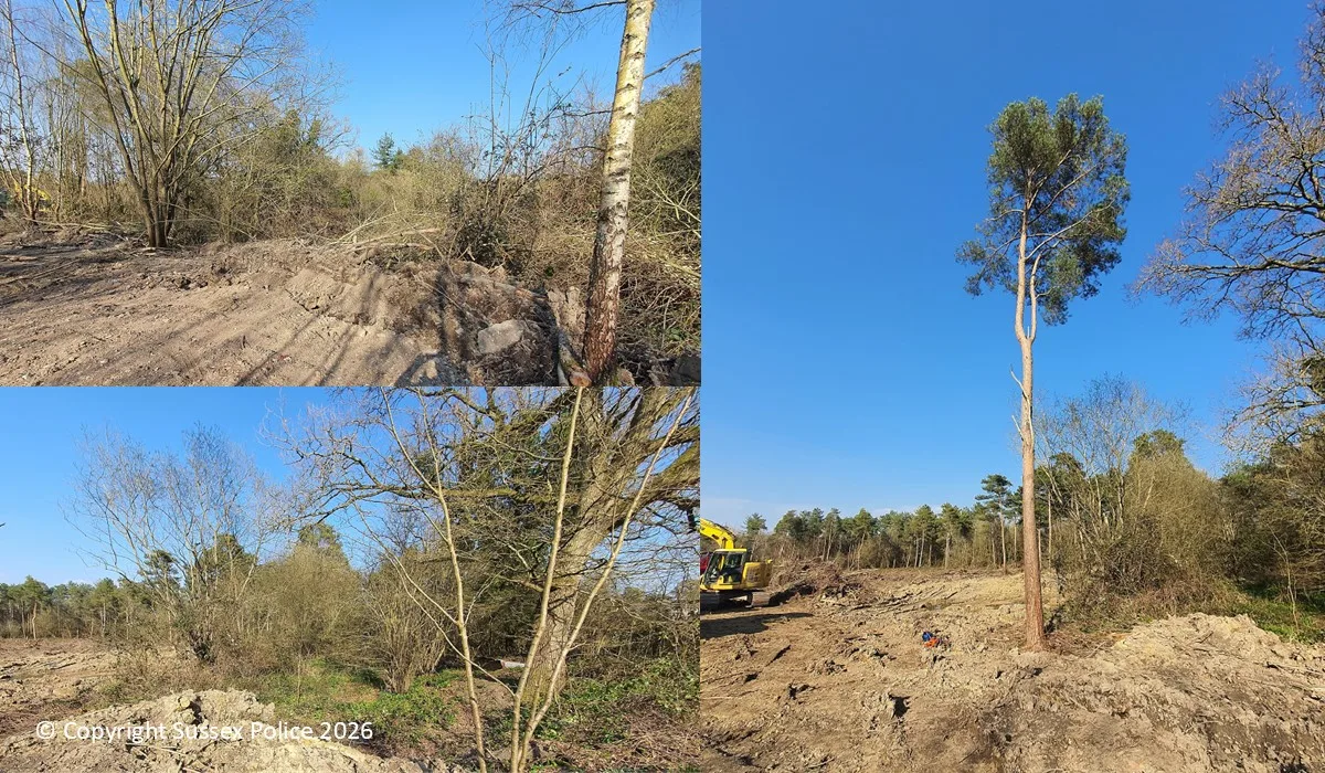 Horsham developer fined £40,000 after illegally felling woodland and destroying protected newt habitat