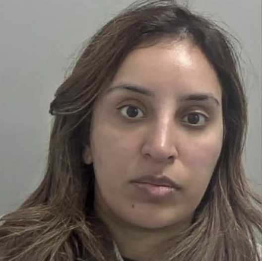 London Woman Jailed Five Years for Warwickshire House Sitting Thefts