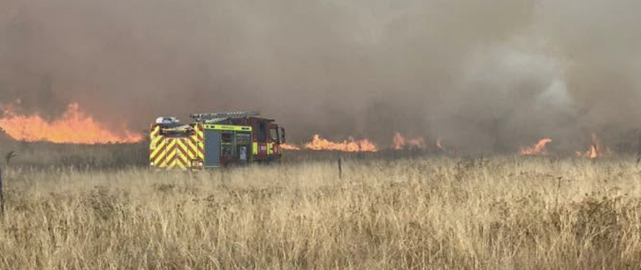 London placed under ‘extreme’ wildfire warning as heatwave continues into weekend