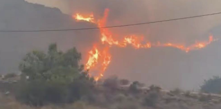 Four Britons feared among 11 killed in devastating Spain wildfire
