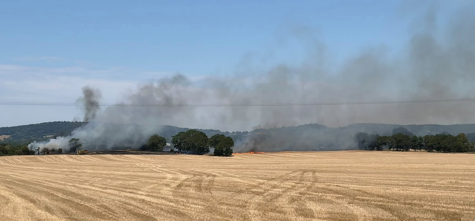 Crops and Bushes Catch Fire in Tudeley as Crews Tackle Blaze That Spread to Field