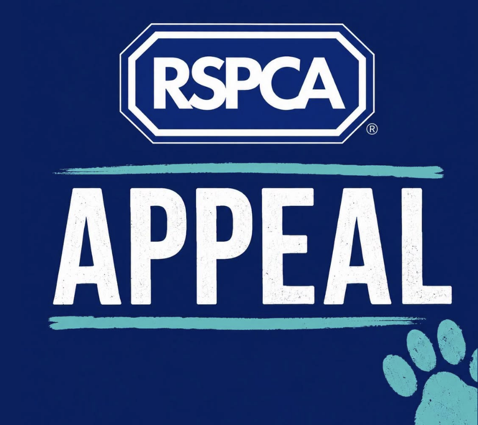 Police and RSPCA Launch Investigation After Dead Horse and Foal Found Dumped Near Shropshire Village