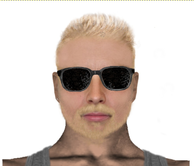 E-fit Released After Sexual Assault on Girl in Ham Woods Plymouth