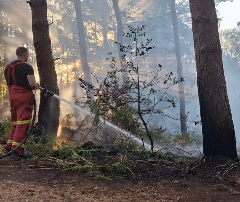 Firefighters battle large woodland blaze at Hawley Lakes in Blackwater