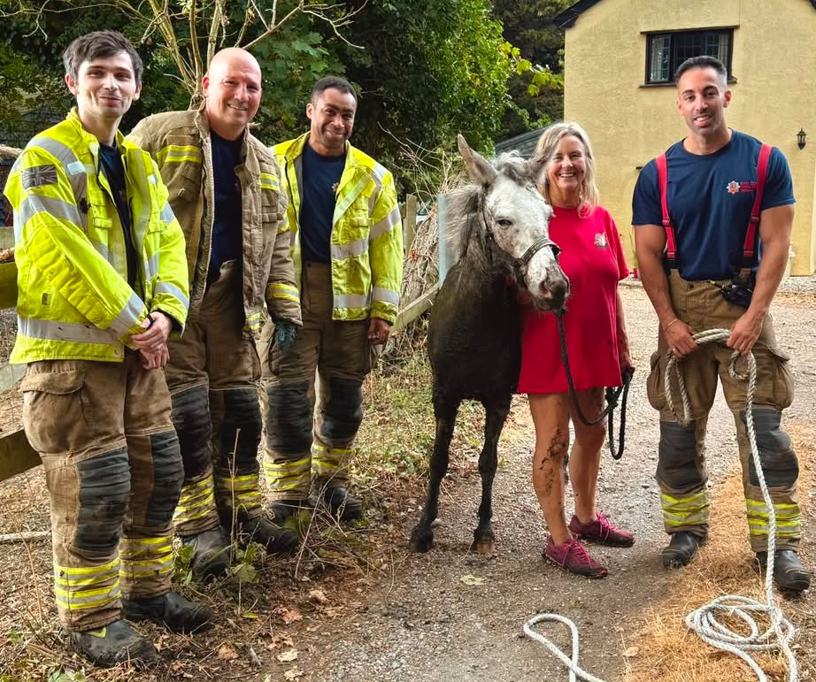 Firefighters rescue 12-year-old donkey trapped in mud at Essex farm