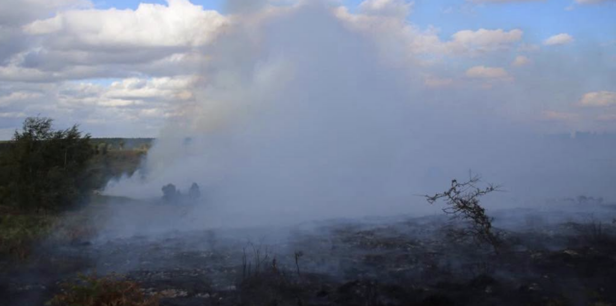 Firefighters continue battling Cannock Chase wildfire through the night